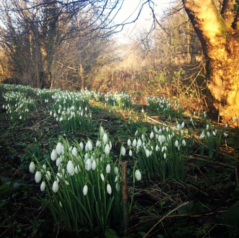 Screen Shot 2014-05-25 at 10.09.32 AM