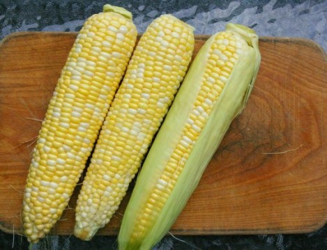 corn_01