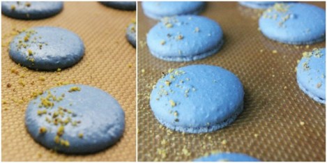 macaron_nut__topping