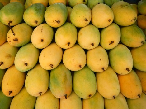 mango bunch