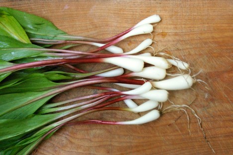 ramps