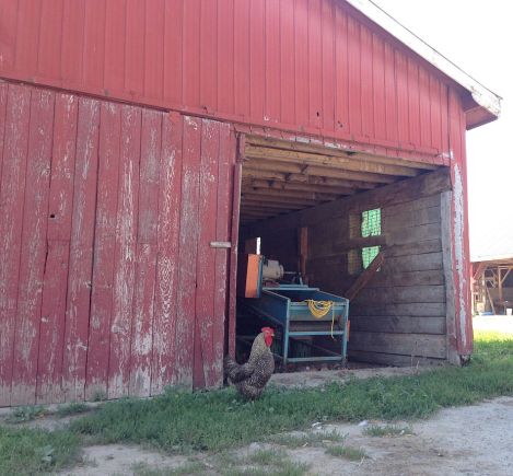 PEC_HagFarm_02