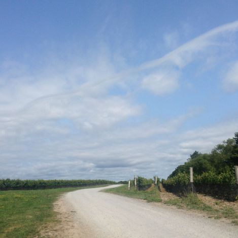 PEC_NormanHardie_02