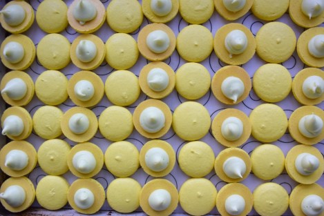 margmacs_01