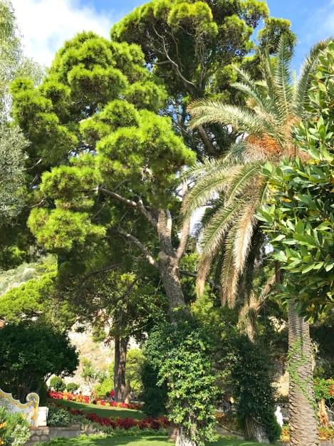 capri_27